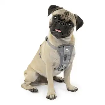 Smart Diržas - QR, Pilka, S Šunį blusų vaistus Vasaros šunų priedai šunų automobilių reikmenys Šunų viliojimo priedai urmu Šuo gog